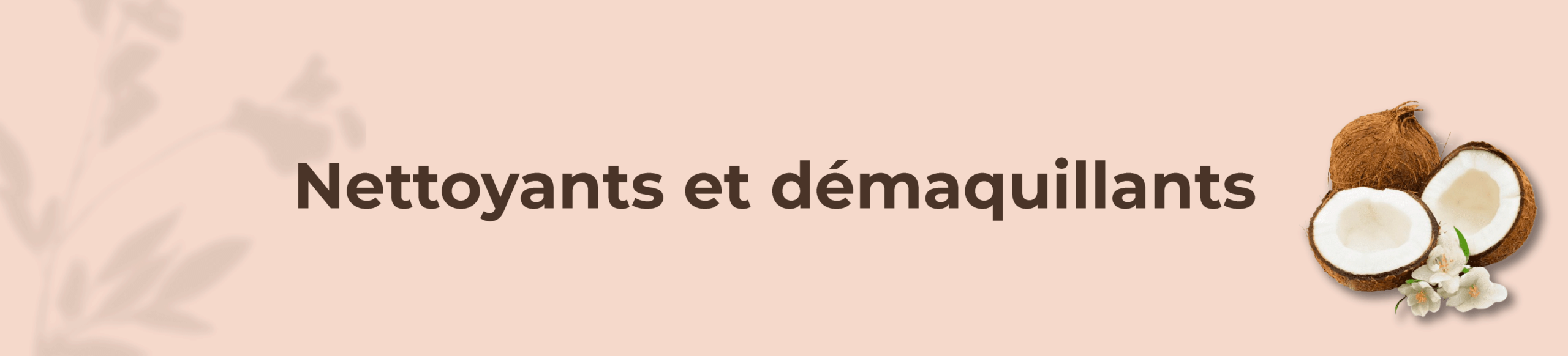 Texte alternatif