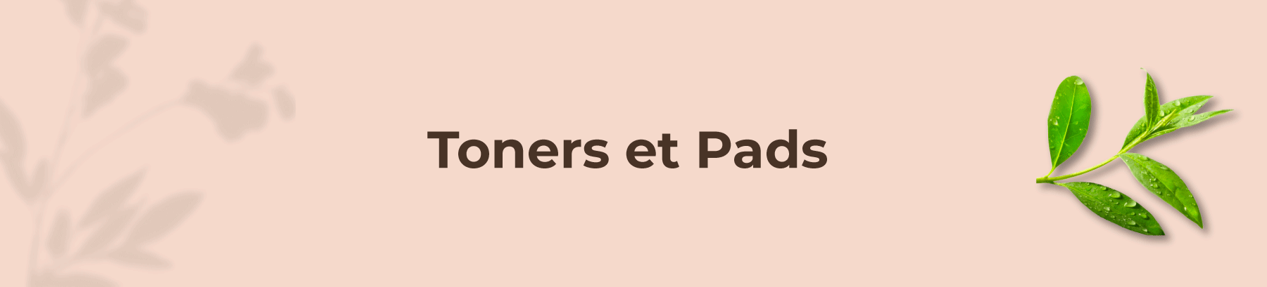 Texte alternatif