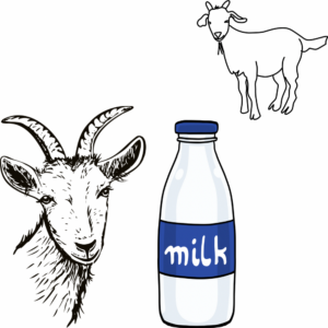 Savon hydratant au lait de chèvre et au miel 145grs